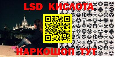 прущие грибы Кунгур