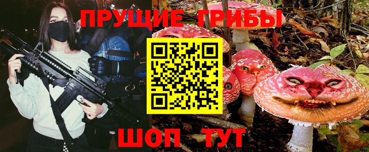 Кирово-Чепецк  Галлюциногенные грибы Psilocybine cubensis  даркнет сайт  Вход с VPN 